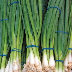 Meet your Posher, Ivana